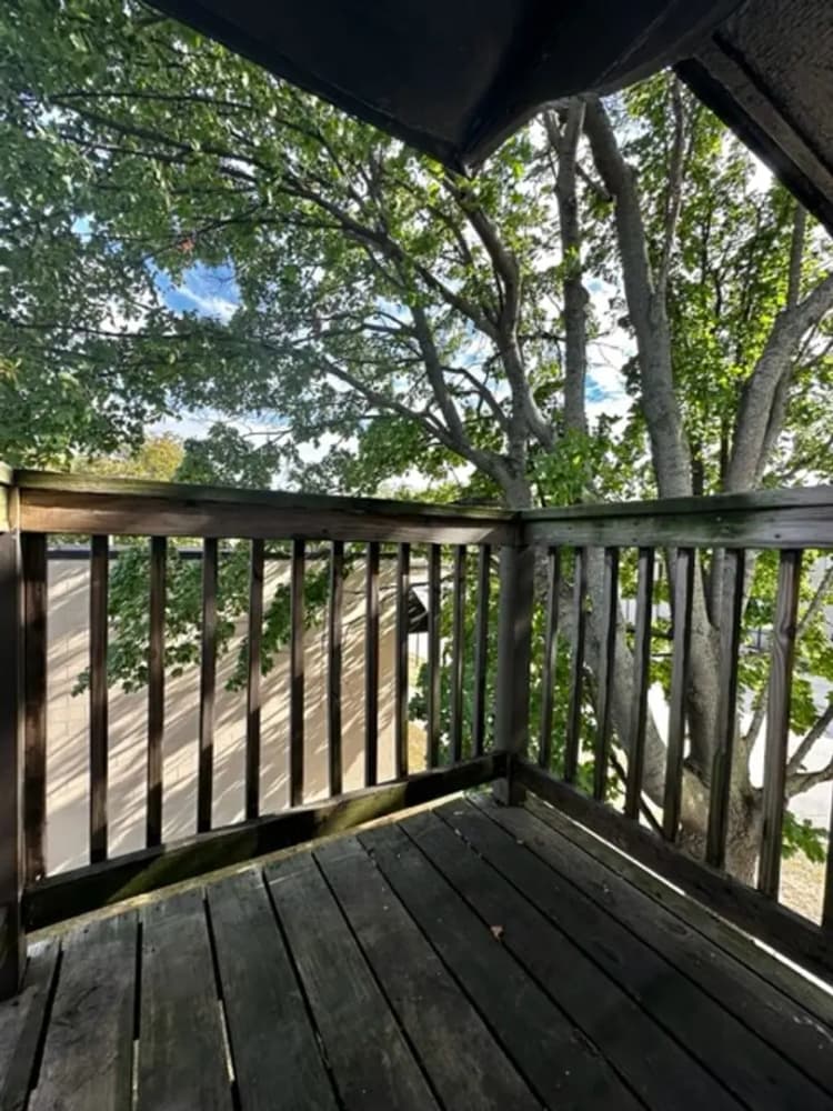 undefined apartments for rent - image - large (7).jpg