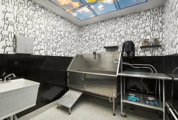 Green Bay apartments for rent - image - Dog Grooming Spa